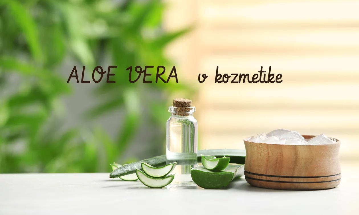 Aloe vera v prírodnej kozmetike pre pleť a vlasy Aloe vera v prírodnej kozmetike pre pleť a vlasy
