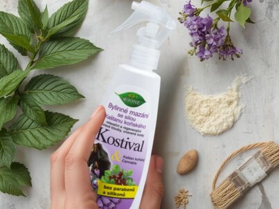 Arnika, kostihoj a pagaštan konský: 3 najsilnejšie prírodné látky na bolesť