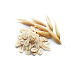 Avena Sativa