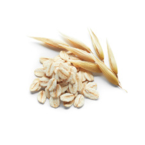 Avena Sativa