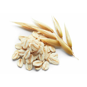 Avena Sativa