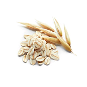 Avena Sativa