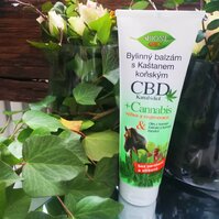 BC BIO CBD+CANNABIS Konský bylinný balzam 300ml