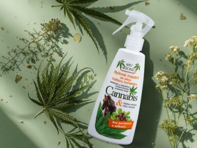 Bylinné spreje na bolesť svalov a kĺbov: prírodná pomoc, ktorá funguje