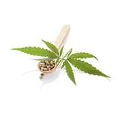 Cannabis
