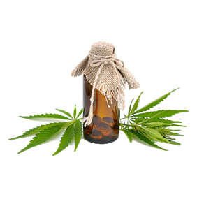 Cannabis CBD Kanabidiol