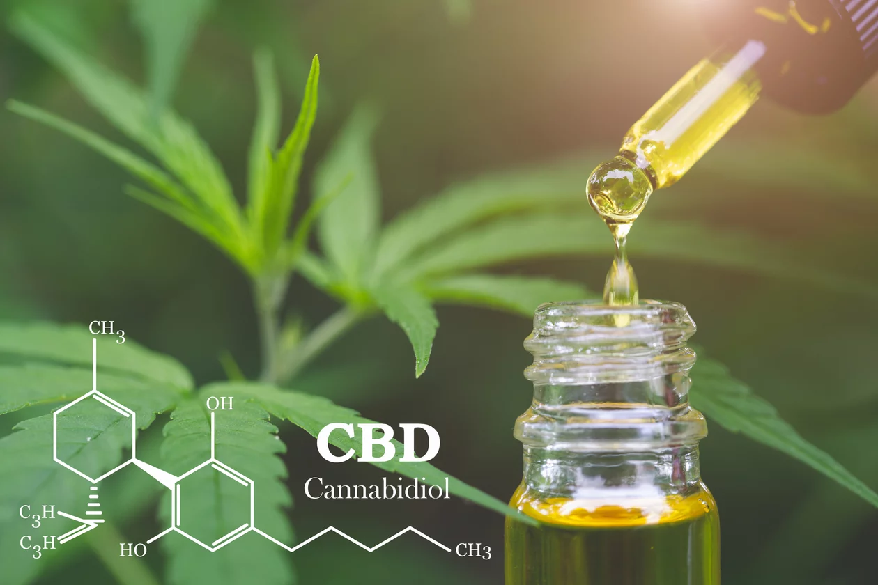 CBD kozmetika Bione CBD kozmetika Bione