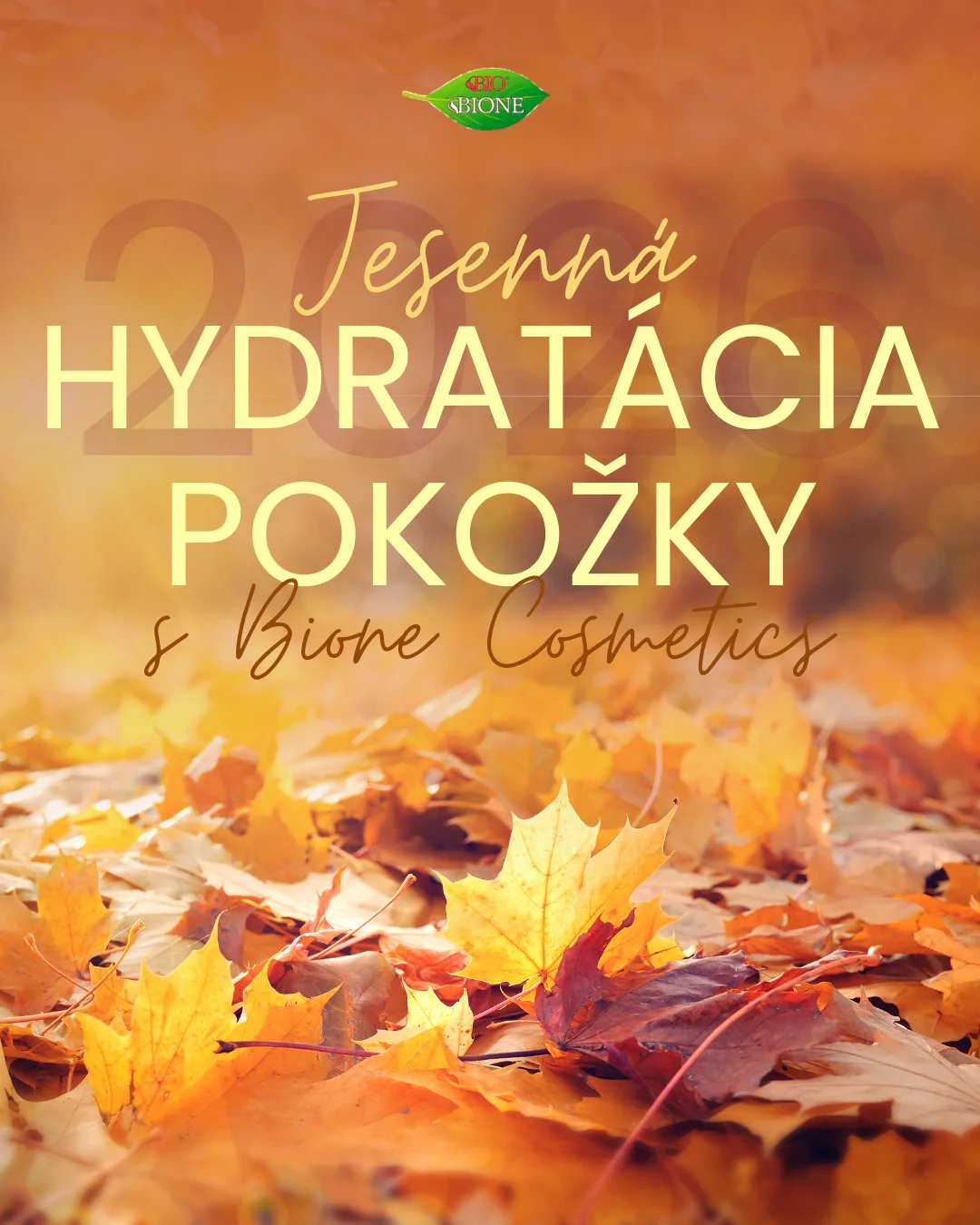 Jesenná hydratácia pokožky: Prečo je arganový olej a bambucké maslo (karité) vaším najlepším spojencom?