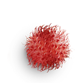 Keratín a ricínový olej