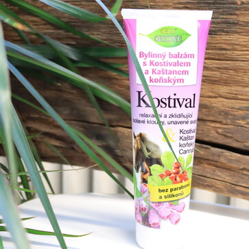 Kostihoj a jeho účinky na pohybový aparát tela