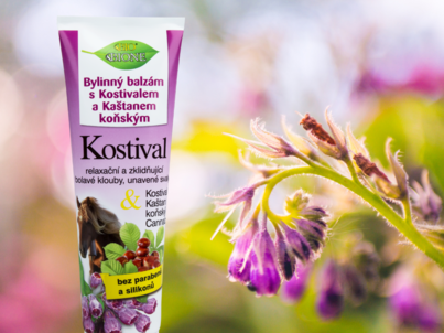 Kostihoj: Kľúč k zdraviu pohybového aparátu pre všetky vekové kategórie