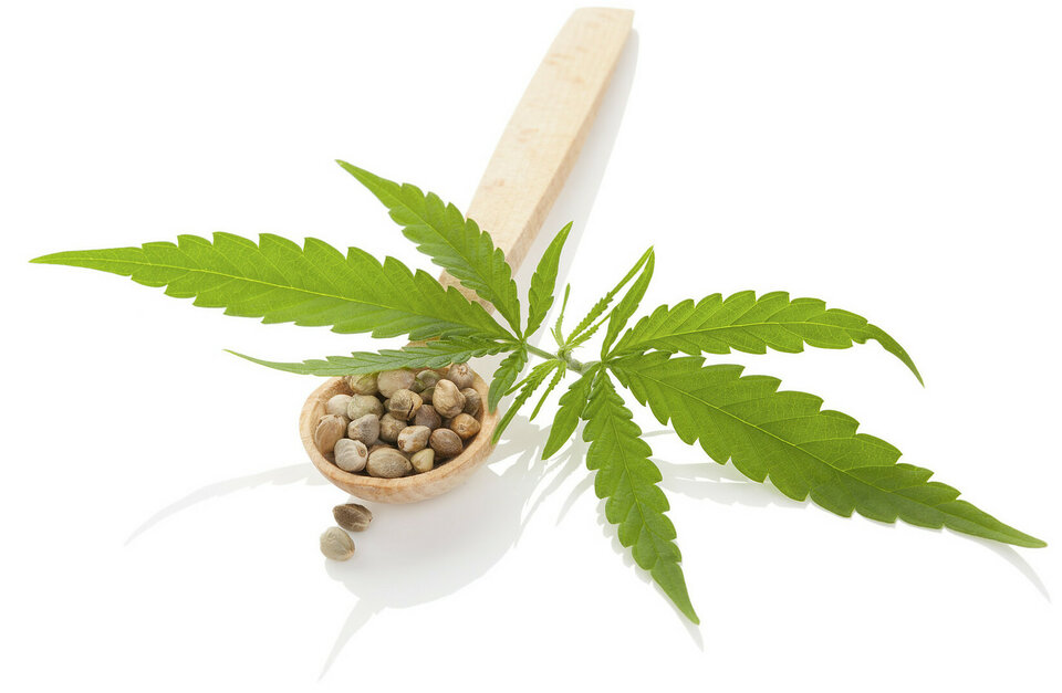 Kozmetika Bione s účinnou látkou Cannabis