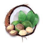 Macadamia a kokos