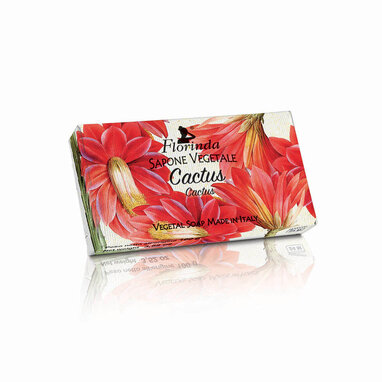 Mydlo Florinda Cactus 100 g
