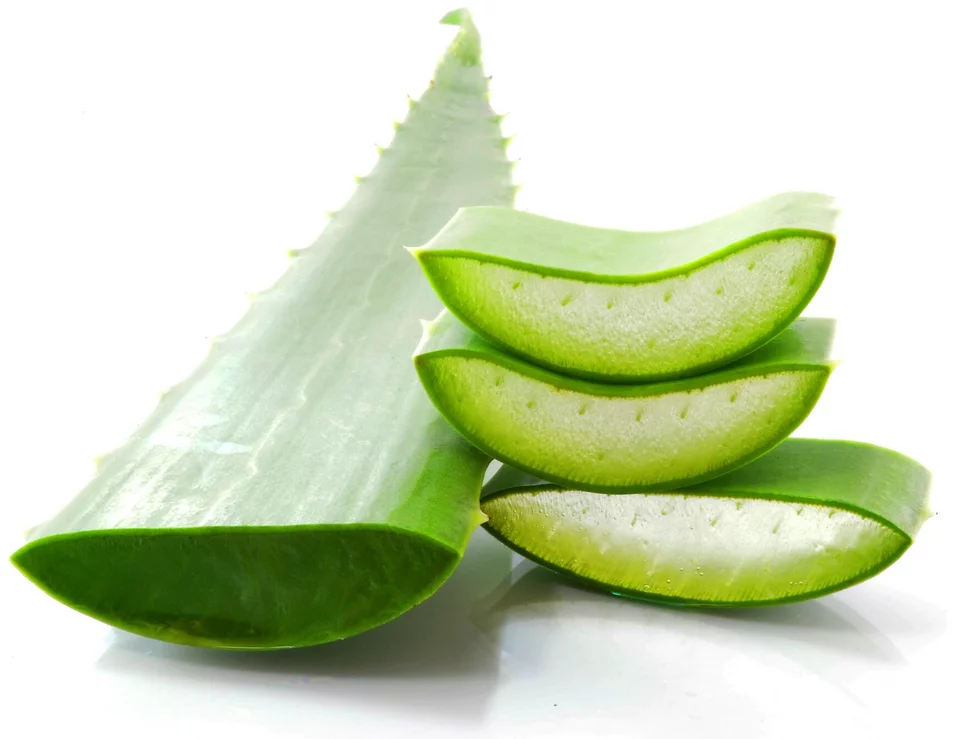 Pleťová kozmetika s obsahom Aloe Vera Pleťová kozmetika s obsahom Aloe Vera