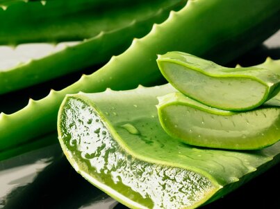 Prečo by si mala aj ty používať kozmetiku s aloe vera, a prečo je to super najmä v lete?